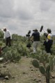 /album/fotogaleria/mexico-2-jpg/